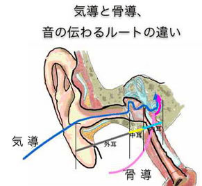 気道と骨導